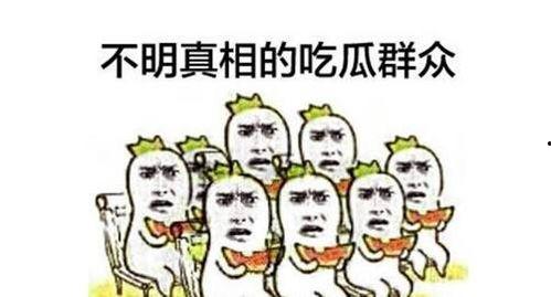 吃瓜群众讨论素材视频,素材视频背后的故事与真相