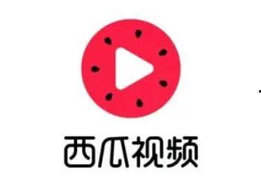 吃沙瓜会变傻瓜嘛视频,吃沙瓜变傻瓜？揭秘沙瓜的神奇功效与误解