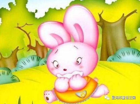 小兔子吃闪电瓜的故事视频,闪电瓜奇遇记