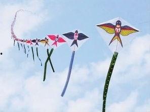 带你吃瓜风筝视频文案,带你揭秘“带你吃瓜风筝”视频背后的精彩故事