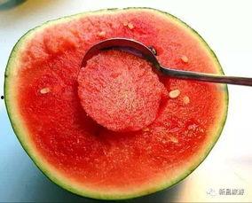 郑州八卦群吃瓜视频,揭秘吃瓜视频背后的热点事件